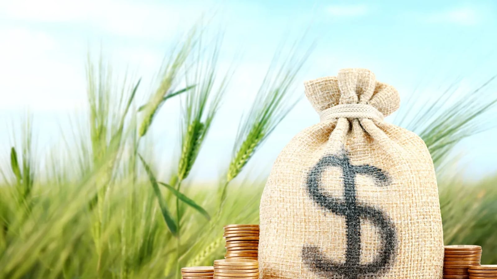 Agronegócio movimenta bilhões e emprega milhões além da porteira