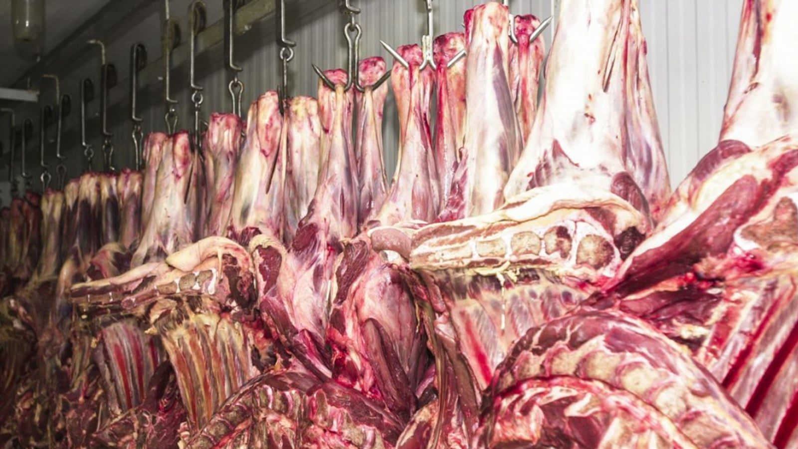 Agronegócio vence: carne bovina fica fora da nova tarifa americana de 25%